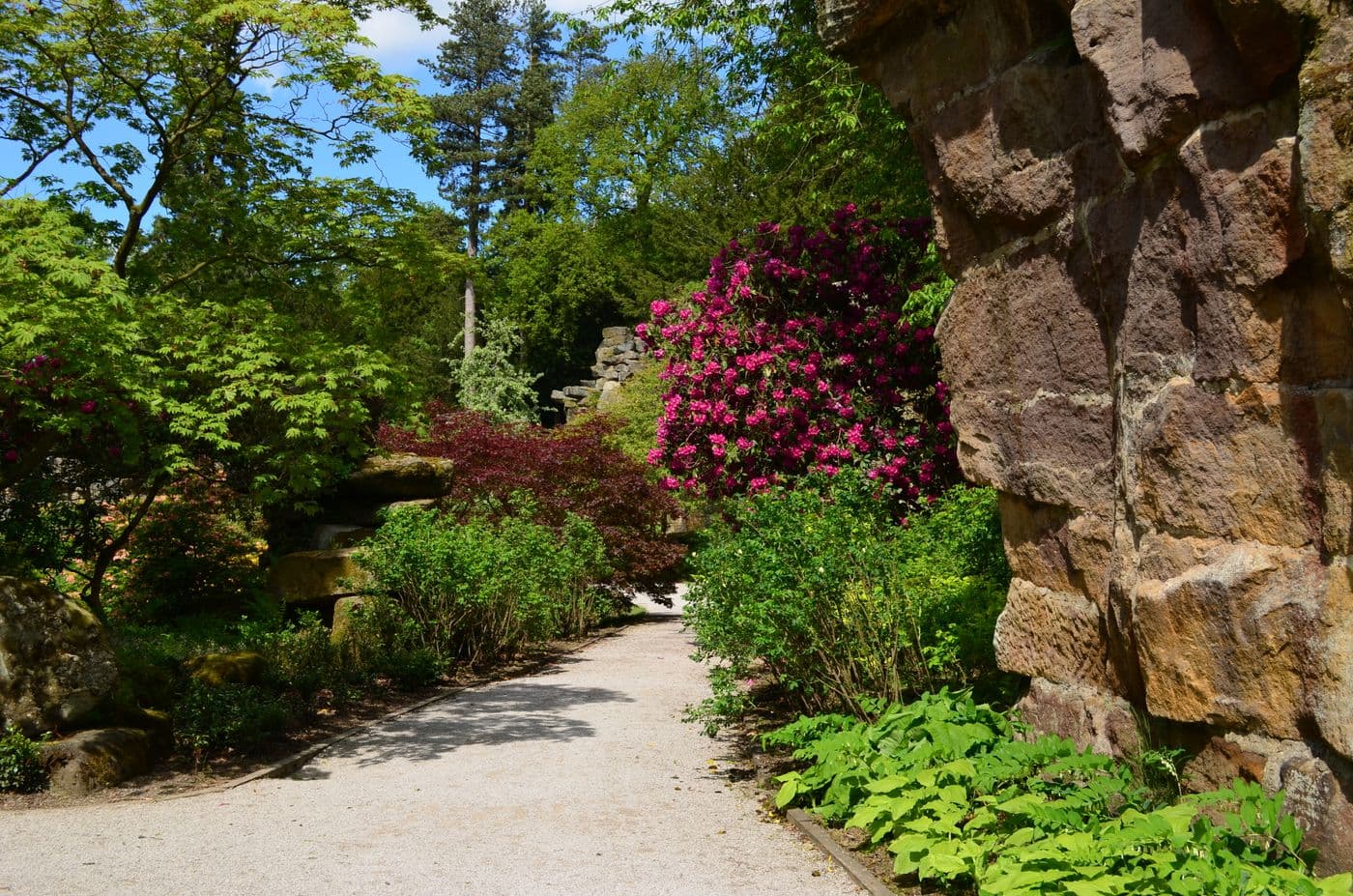 A peaceful garden path with flowers and dense green planting